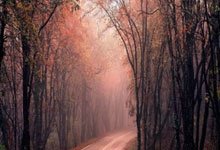 开云足球直播-跨界天王VS宇宙豪门！库里魔幻首秀掀翻诺坎普，技术统计暗藏玄机