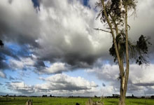 开云下载-火箭横扫公牛，贝弗利打破历史纪录：一场令人震撼的篮球盛宴