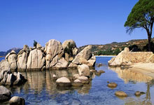 开云体育在线-中国羽毛球队翻盘泰国羽毛球队，李宗伟制霸全场