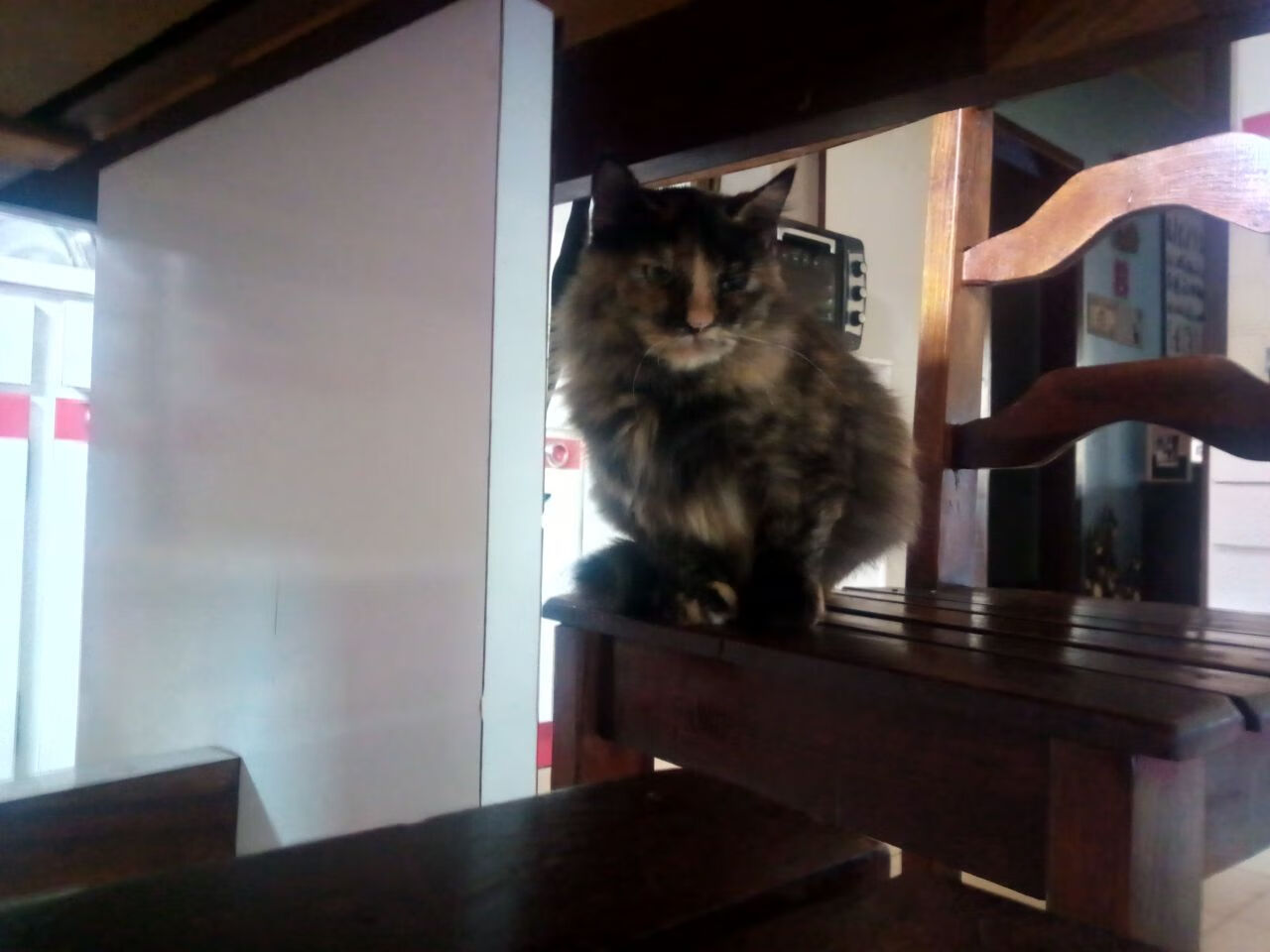 开云体育app-赛道与球场，F1新赛季揭幕战与广东队制霸活塞的双重奏