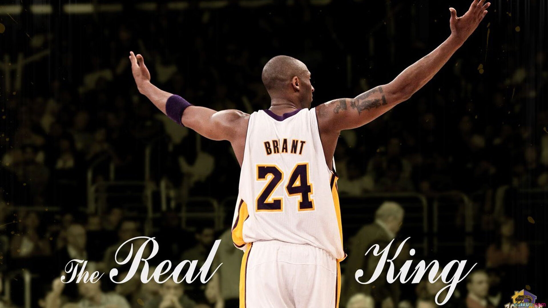 骑士翻盘魔术，锡安在NBA季后赛接管比赛，新王当立？